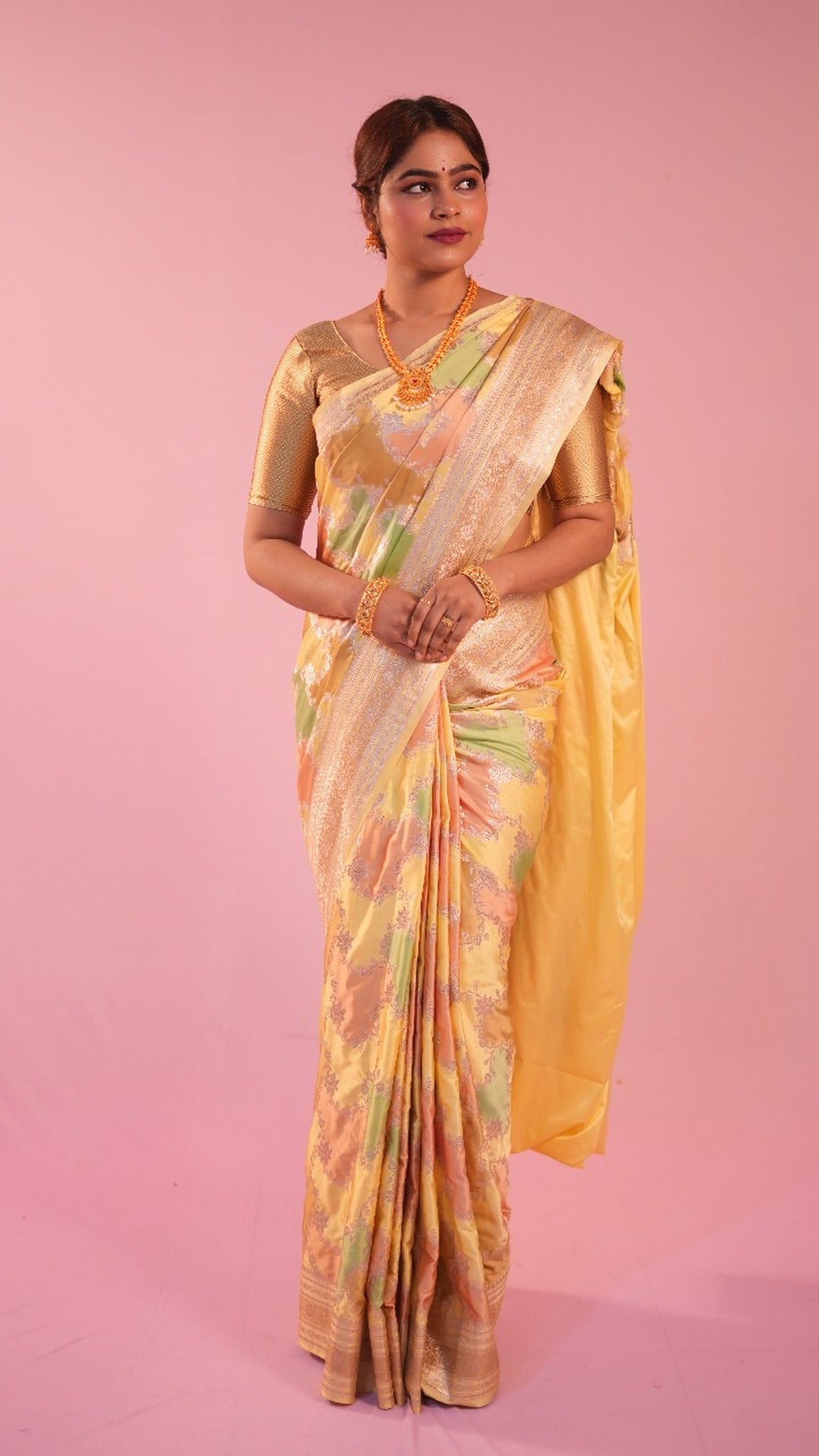 Banarasi Rang Kart Saree